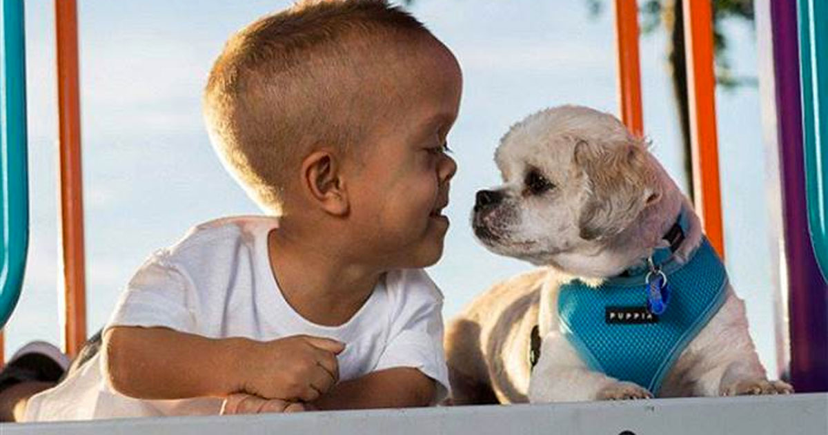 dog_helps_boy_stand_up_to_bullies_featured